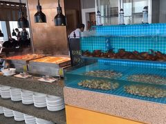 -视界美食自助餐厅·石家庄希尔顿酒店