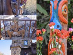 -呀路古热带植物园