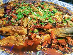 -新概念来凤鱼(璧山店)