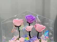 -ROSEONLY诺誓(广州K11店)