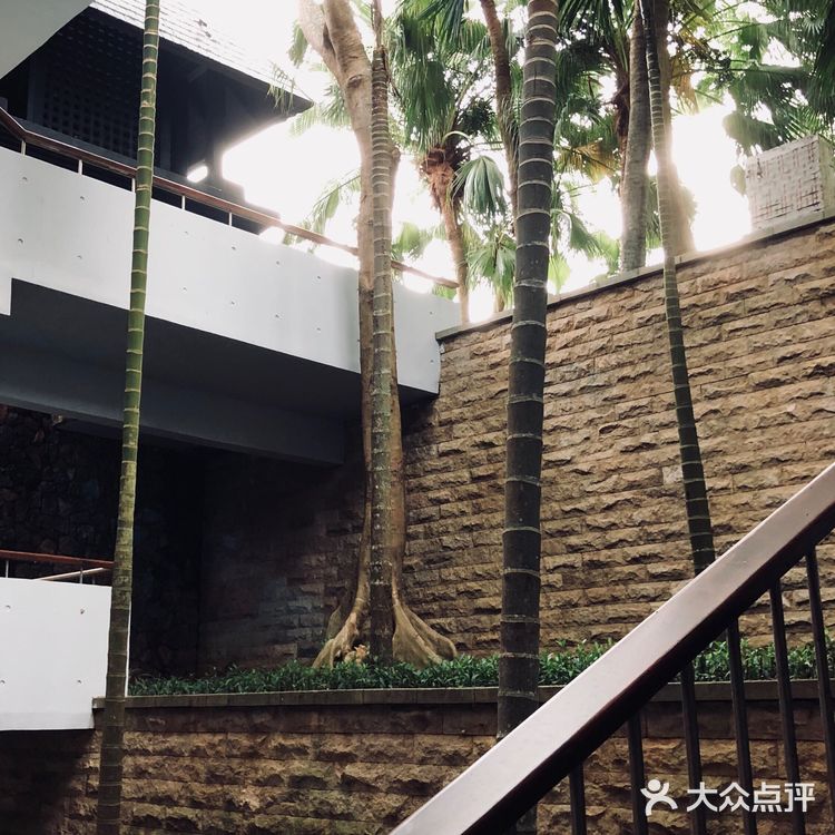 拳头一样大的蜗牛