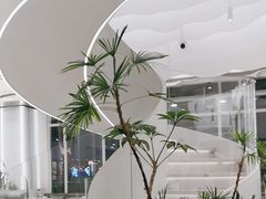 -大树餐厅(万达创始店)