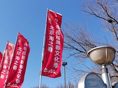 -中央广播电视塔