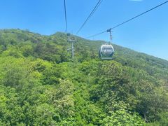 -紫金山山顶公园