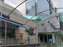 -上海海洋水族馆