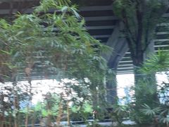 -大妙火锅·非物质文化遗产(东湖公园店)