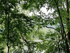 -黔灵山公园