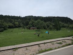 -武陵山森林公园