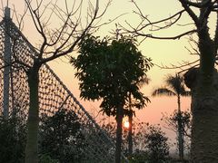 -广州花之恋城堡酒店