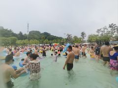 -重庆海昌加勒比海水世界