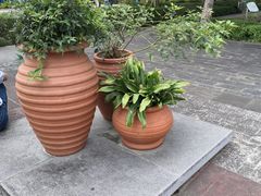 -白塘生态植物园
