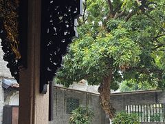 -碧江金楼