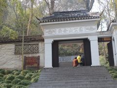 西佘山公园-上海佘山国家森林公园西佘山园