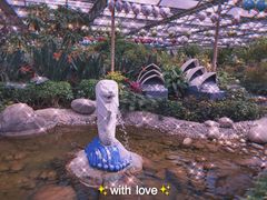 -南宫五洲植物乐园