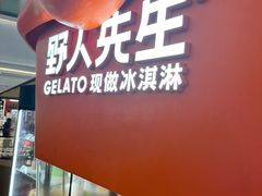 -野人先生现做冰淇淋(北京王府井东方新天地店)