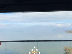 -野菌皇海景野生菌火锅(滨海大道店)