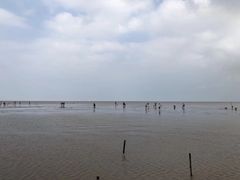 -南汇嘴观海公园