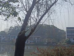 -柯岩风景区