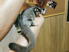 -藦茜花园宠物主题亲子互动体验馆(国顺东路店)