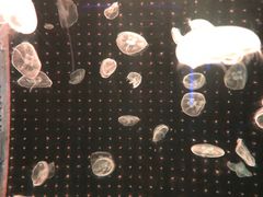 -多彩贵州城极地海洋世界