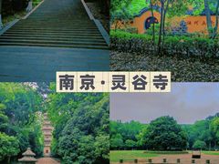 -灵谷景区