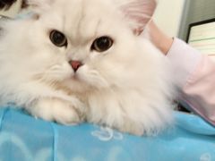 -美迦爱-牙专科·兔科·骨科诊疗中心(北苑店)