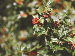 -南京市无想山景区