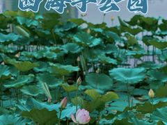 -西海子公园