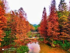 -云溪植物园