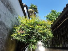 -乌镇东栅景区