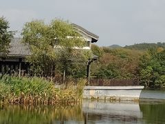 -大塘金香草谷