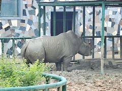 -哈尔滨北方森林动物园