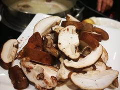 -鼎尚鲜斑鱼莊(新天润店)