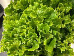 -炉队长·齐齐哈尔家庭烤肉(马家堡店)