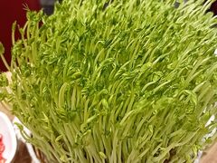 鲜豆苗-好彩猪肚鸡(正弘城店)