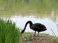 -浙江农林大学(东湖校区)