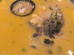 豆腐鱼头汤-双东酒店(东关街店)