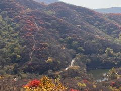 -北京西山国家森林公园