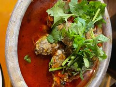 花甲火锅粉-成都吃客(九眼桥店)