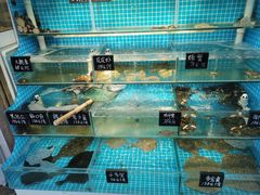 水产区-北戴河庆山饭店·海鲜砂锅粥(北戴河黑石路店)