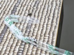 -金明姬和众烧烤店(东铁营店)