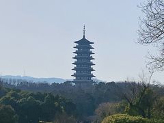 -宜兴龙背山森林公园