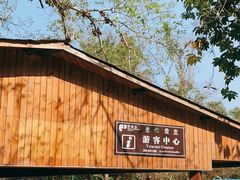 -野象谷景区