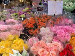 -循礼门鲜花花市(武汉循礼门店)