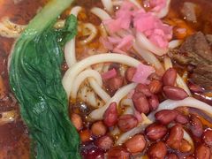 红烧牛肉汤面-杨记跷脚牛肉面(下元店)