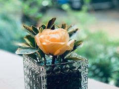 -清水蘭軒