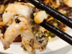 -三猫黑鱼花(南大店)