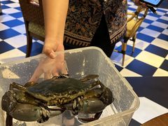 -亚特兰蒂斯·蟹餐厅 CRAB KITCHEN·鲜活海鲜