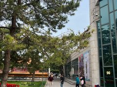 -中山公园音乐堂