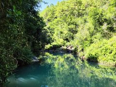 -广州白江湖森林公园